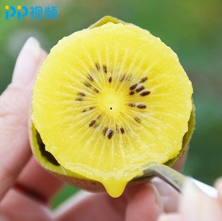 亚洲水果视频,视频带你领略缤纷果香
